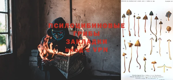 амф Алексин