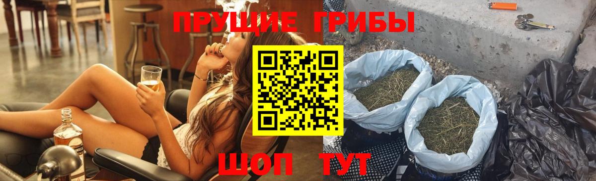 Псилоцибиновые грибы мицелий Тольятти