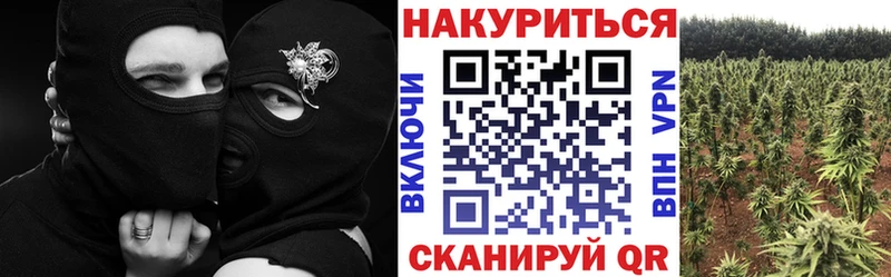 купить наркоту  Тольятти  Конопля AK-47 