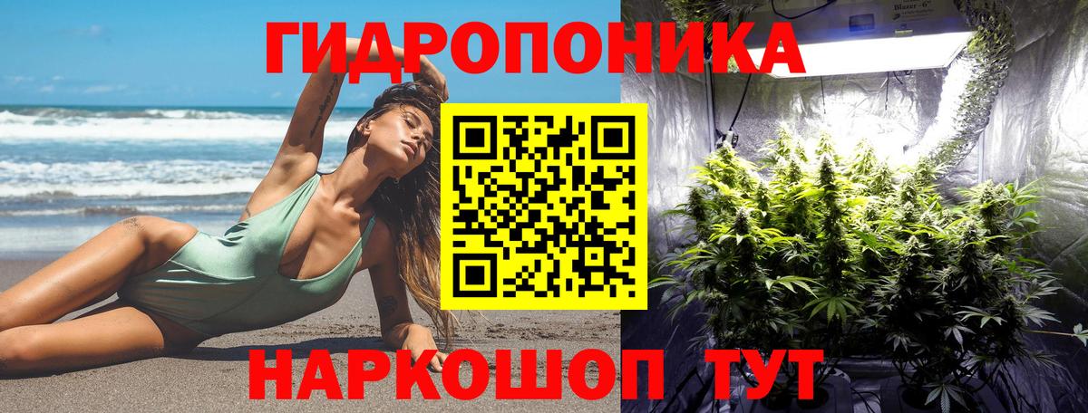 Тольятти  Каннабис Amnesia  Конопля SATIVA & INDICA  Бошки марихуана AK-47  Вход с VPN  МАРИХУАНА ГИДРОПОН 